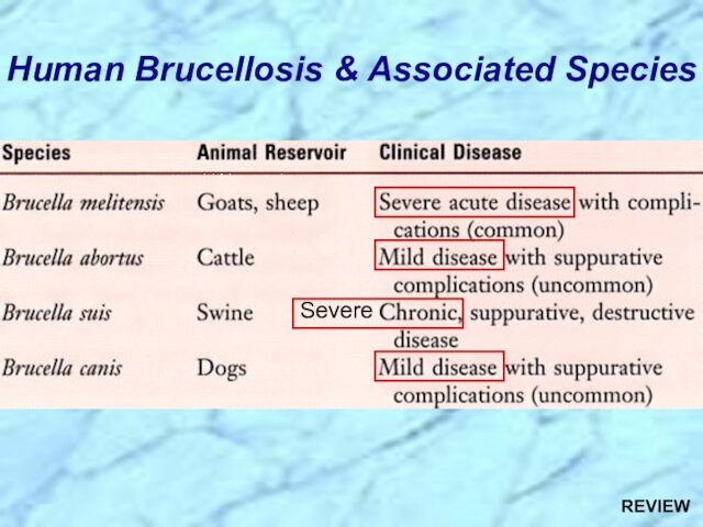 Human Brucellosis & Associated SpeciesSevereREVIEW