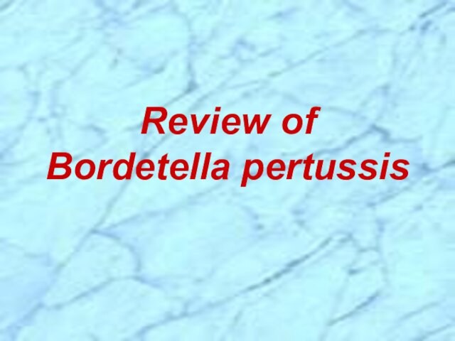 Review of     Bordetella pertussis