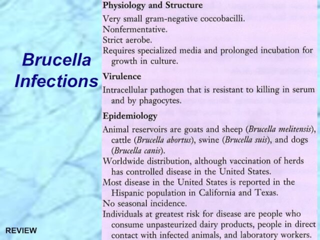 Brucella InfectionsREVIEW