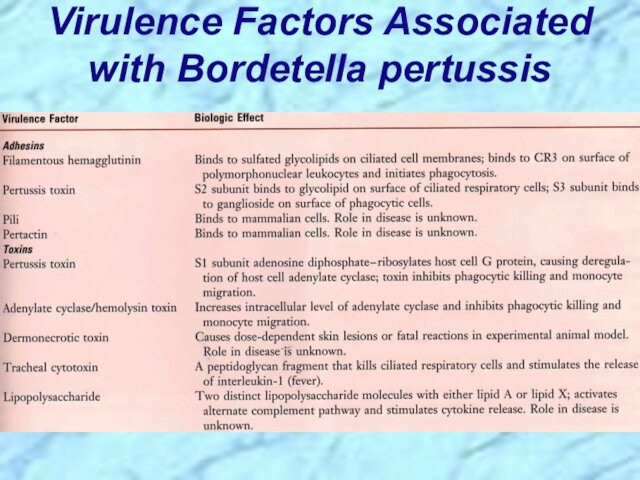 Virulence Factors Associated with Bordetella pertussis