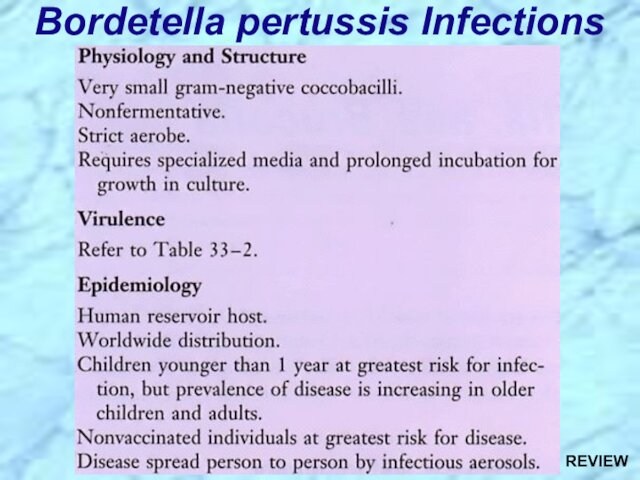 Bordetella pertussis InfectionsREVIEW