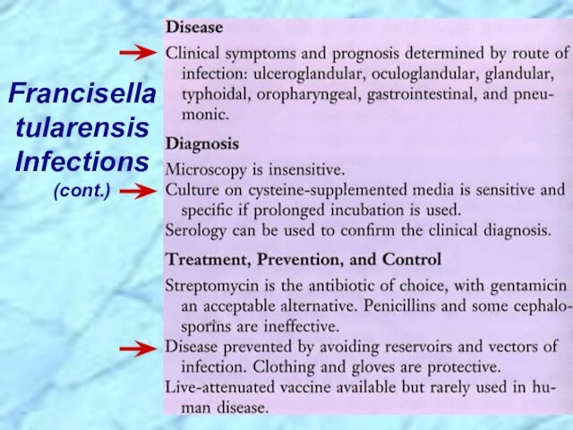 Francisella tularensis Infections (cont.)