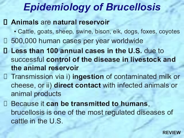 Animals are natural reservoirCattle, goats, sheep, swine, bison, elk, dogs, foxes, coyotes500,000 human cases per year