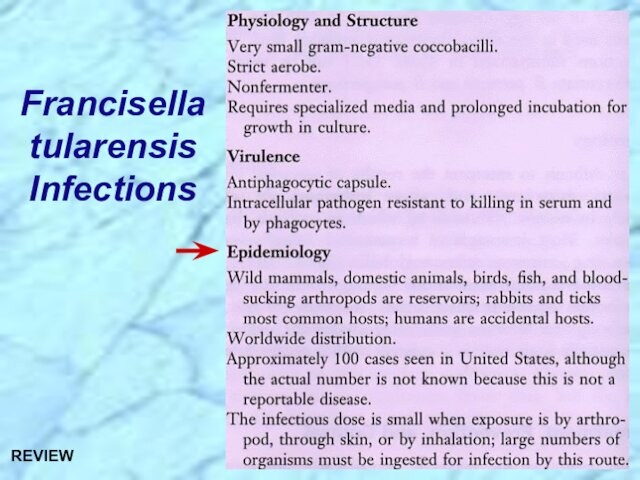 Francisella tularensis InfectionsREVIEW