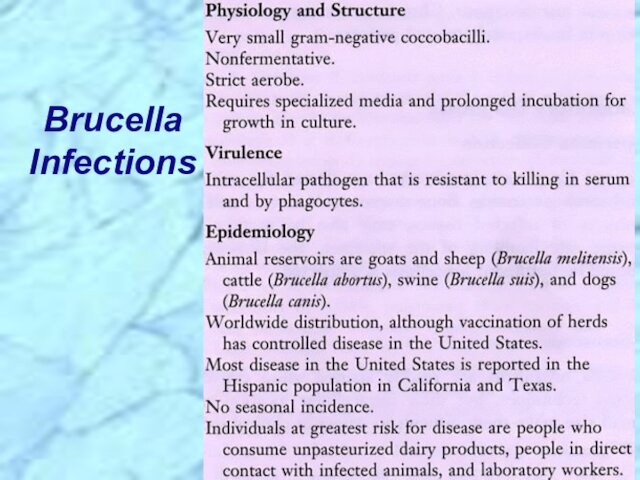 Brucella Infections