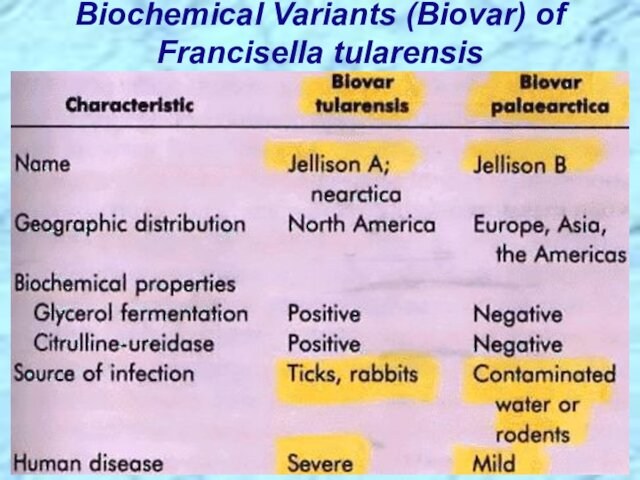 Biochemical Variants (Biovar) of Francisella tularensis