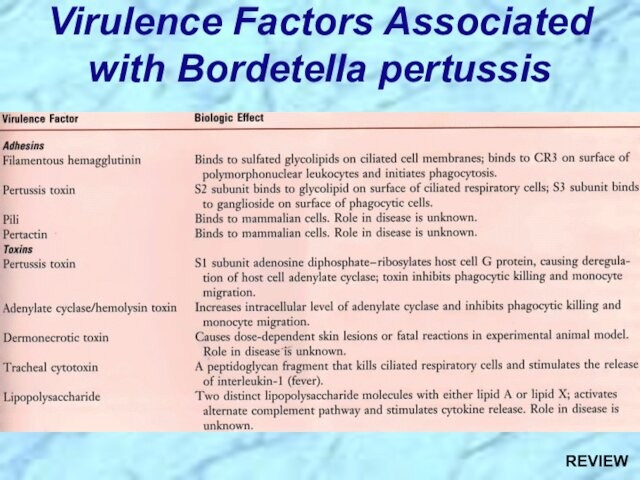 Virulence Factors Associated with Bordetella pertussisREVIEW