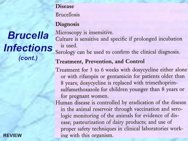 Brucella Infections (cont.)REVIEW
