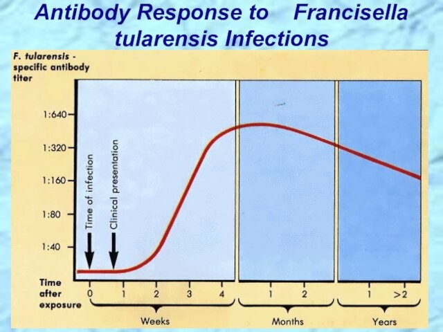 Antibody Response to  Francisella tularensis Infections