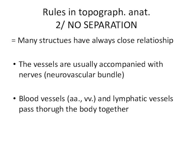 always close relatioship The vessels are usually accompanied with nerves (neurovascular bundle) Blood vessels (aa.,