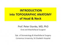 Introduction into topographic anatomy of head & neck