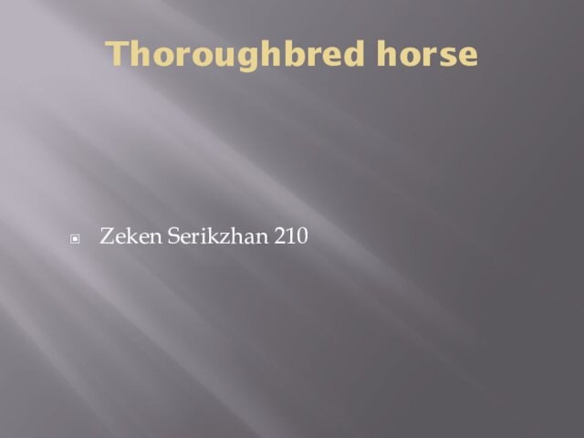 Thoroughbred horseZeken Serikzhan 210