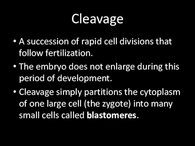 CleavageA succession of rapid cell divisions that follow fertilization.The embryo does not enlarge during this period