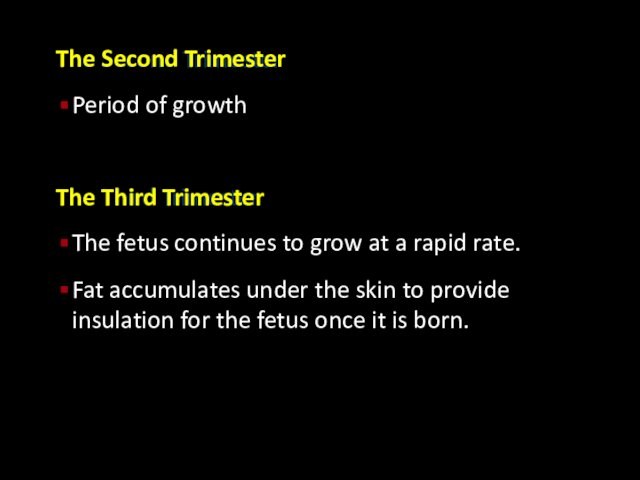 The Second TrimesterPeriod of growthThe Third TrimesterThe fetus continues to grow at a rapid rate.Fat accumulates
