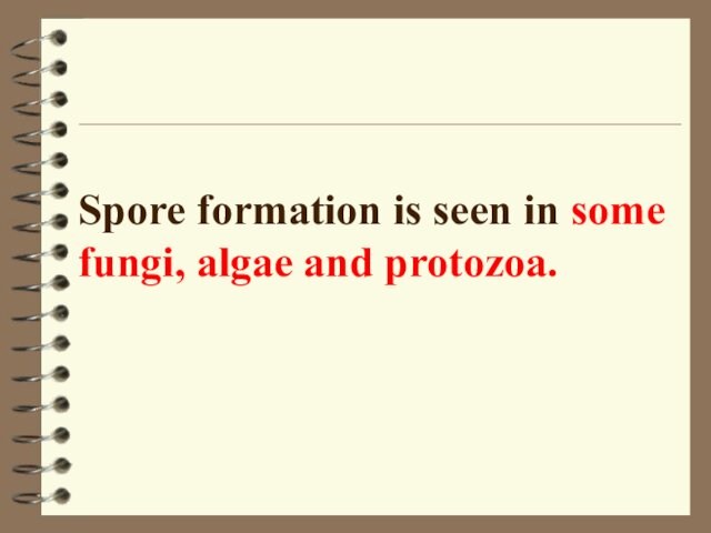 Spore formation is seen in some fungi, algae and protozoa.