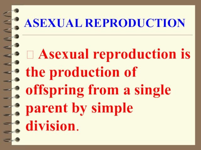 ASEXUAL REPRODUCTION Asexual reproduction is the production of offspring from a single parent by simple division.