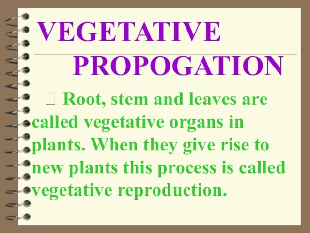 and leaves are called vegetative organs in plants. When they give rise to new plants