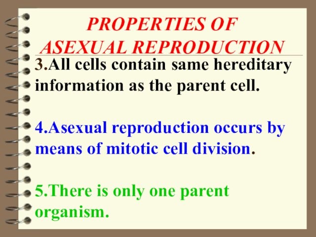 4.Asexual reproduction occurs by means of mitotic cell division. 5.There is only one parent