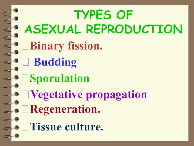 TYPES OF             ASEXUAL REPRODUCTION