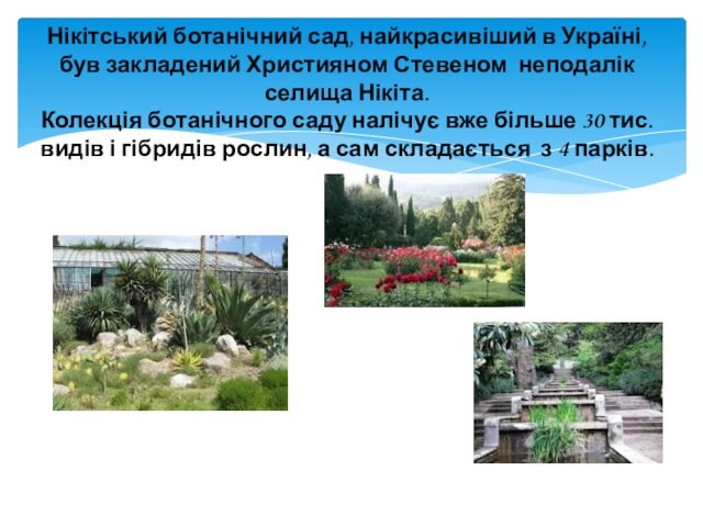Нікітський ботанічний сад, найкрасивіший в Україні, був закладений Християном Стевеном неподалік селища Нікіта. Колекція ботанічного саду