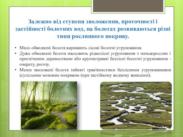 Залежно від ступеня зволоження, проточності і застійності болотних вод, на болотах розвиваються різні типи рослинного покриву.