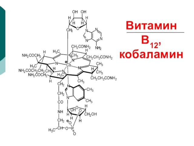 Витамин В12,  кобаламин