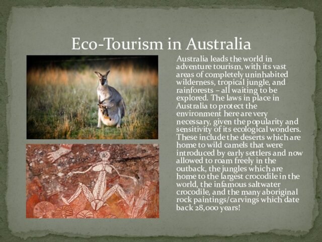 Eco-Tourism in Australia   Australia leads the world in adventure tourism, with its vast