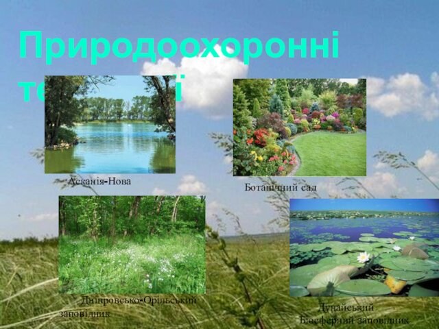 Природоохоронні територіїАсканія-НоваБотанічний сад   Дунайський Біосферний заповідник   Дніпровсько-Орільський заповідник