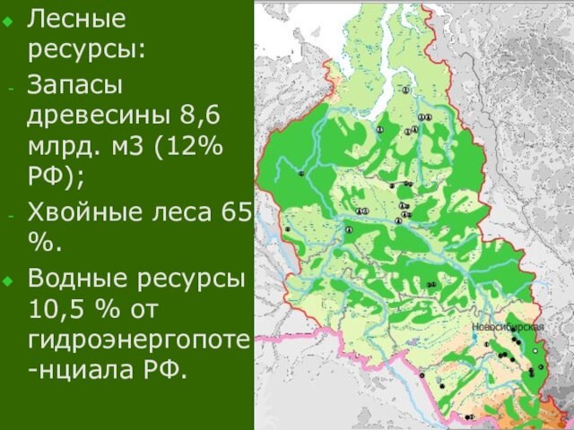 Лесные ресурсы:Запасы древесины 8,6 млрд. м3 (12% РФ);Хвойные леса 65 %.Водные ресурсы 10,5 % от гидроэнергопоте-нциала