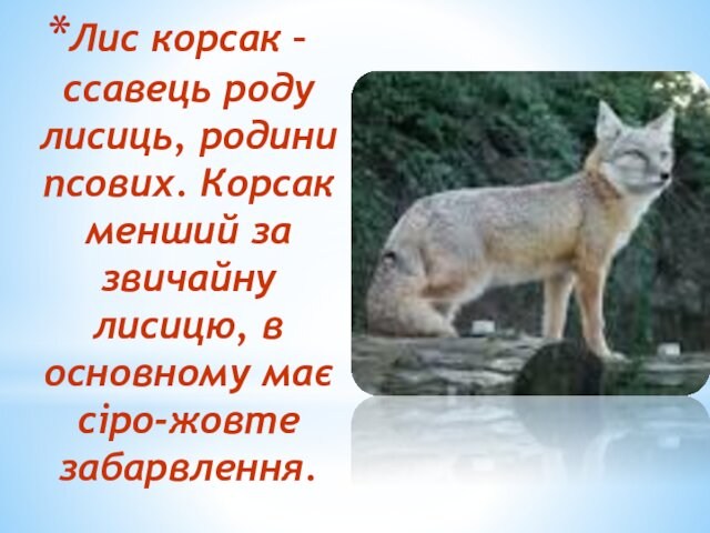 Лис корсак – ссавець роду лисиць, родини псових. Корсак менший за звичайну лисицю, в основному має