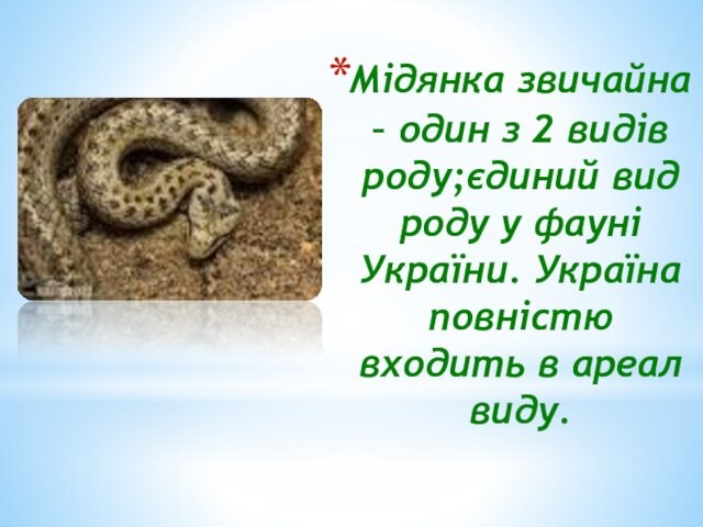 Мідянка звичайна – один з 2 видів роду;єдиний вид роду у фауні України. Україна повністю входить