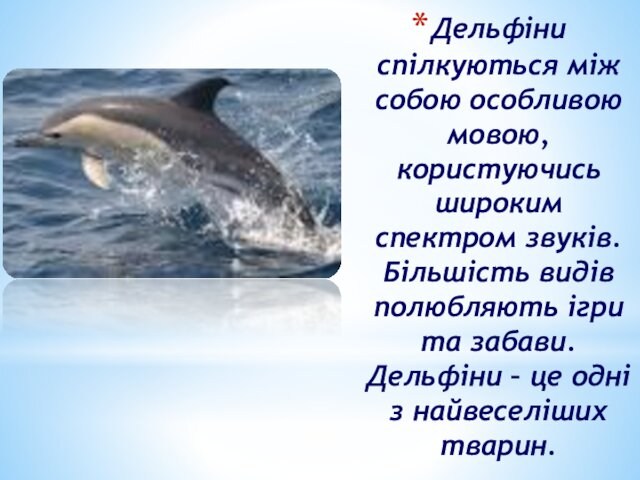 видів полюбляють ігри та забави. Дельфіни – це одні з найвеселіших тварин.