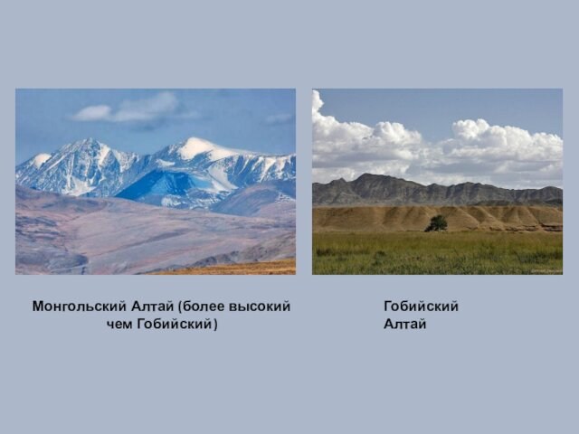 Монгольский Алтай (более высокий чем Гобийский)Гобийский Алтай