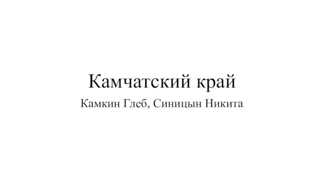 Камчатский крайКамкин Глеб, Синицын Никита