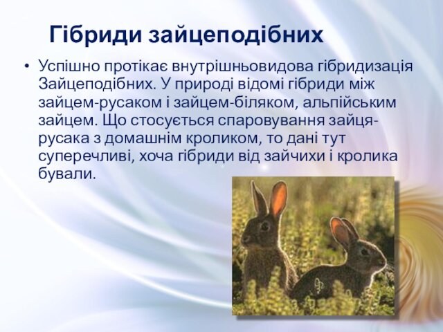 і зайцем-біляком, альпійським зайцем. Що стосується спаровування зайця-русака з домашнім кроликом, то дані тут суперечливі,
