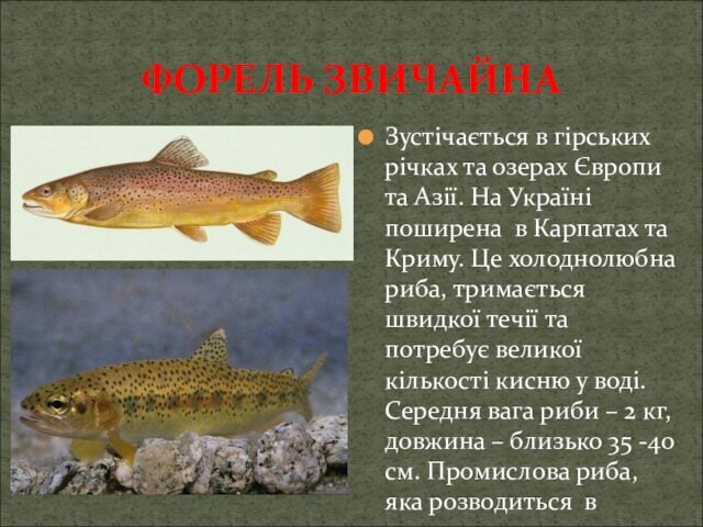 На Україні поширена в Карпатах та Криму. Це холоднолюбна риба, тримається швидкої течії та потребує