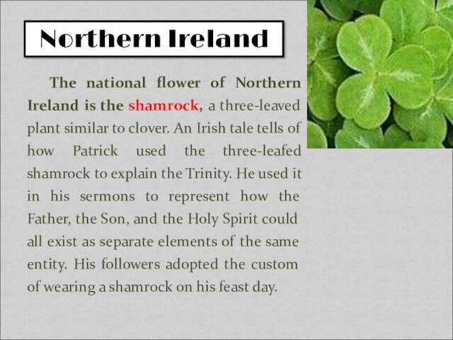 The national flower of Northern Ireland is the shamrock, a three-leaved plant similar to clover. An