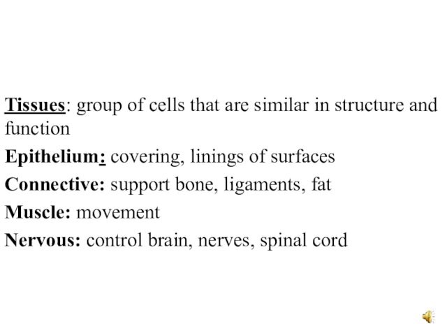 Tissues: group of cells that are similar in structure and functionEpithelium: covering, linings of surfacesConnective: support