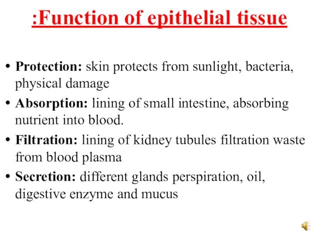 Function of epithelial tissue: Protection: skin protects from sunlight, bacteria, physical damageAbsorption: lining of small intestine,