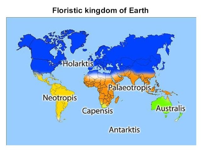 Floristic kingdom of Earth