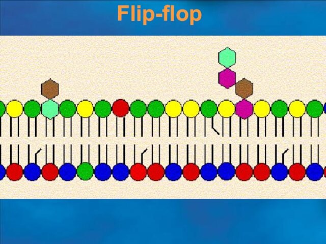 Flip-flop