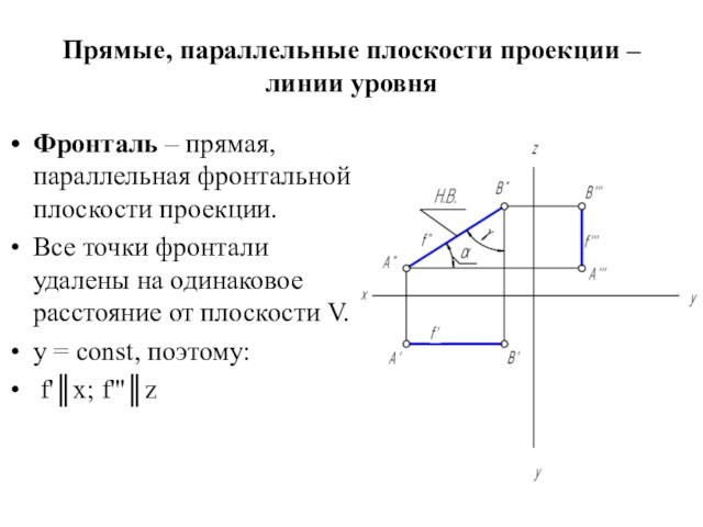 плоскости проекции.Все точки фронтали удалены на одинаковое расстояние от плоскости V.y = const, поэтому: f'║x;