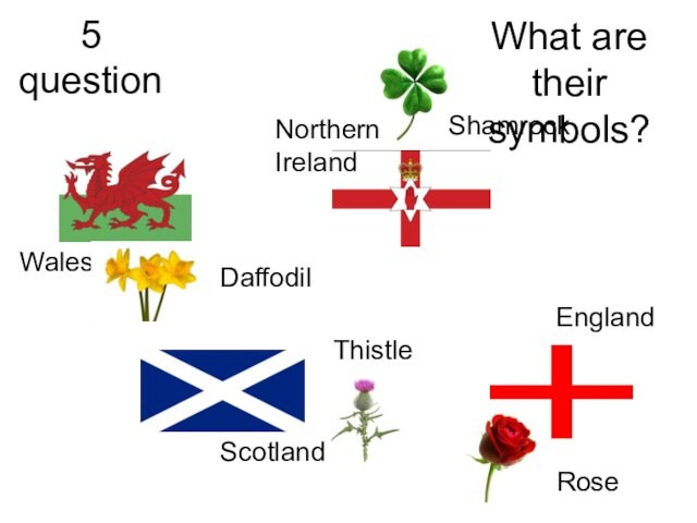 5 questionWhat are their symbols? England ScotlandWalesNorthern IrelandRoseDaffodil ShamrockThistle
