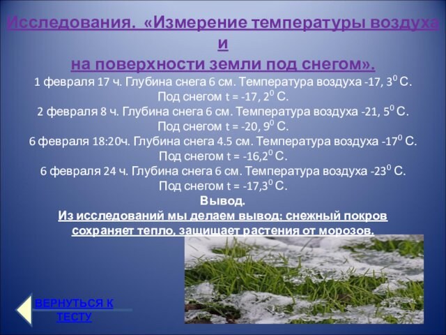 1 февраля 17 ч. Глубина снега 6 см. Температура воздуха -17, 30 С. Под