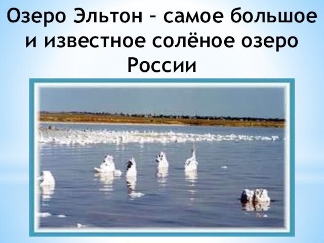 Озеро Эльтон – самое большое и известное солёное озеро России