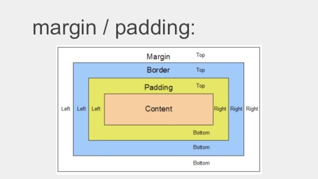 margin / padding: