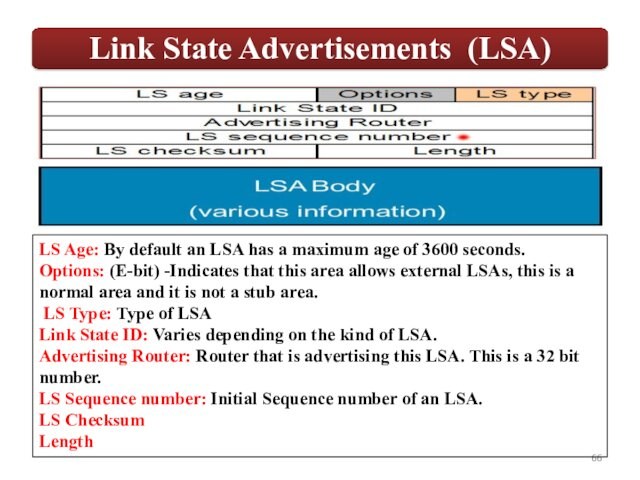 LS Age: By default an LSA has a maximum age of 3600 seconds.Options: (E-bit) -Indicates that
