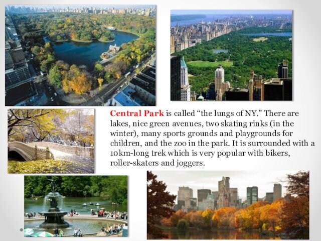 Central Park is called “the lungs of NY.” There are lakes, nice green avenues, two skating