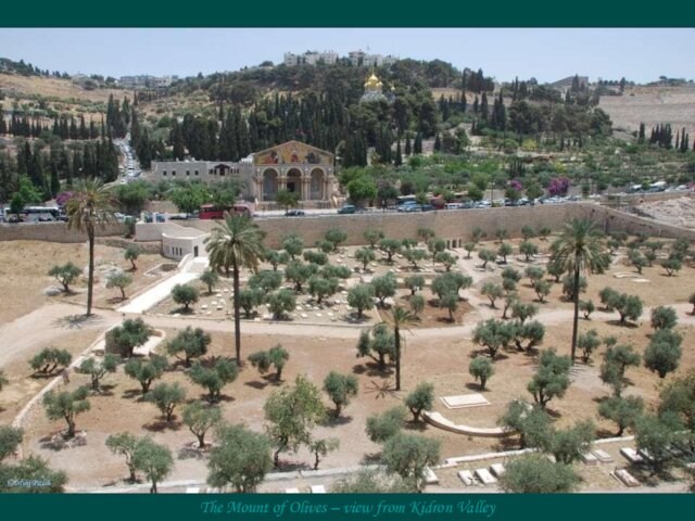 © Miki Pitish The Mount of Olives – view from Kidron Valley