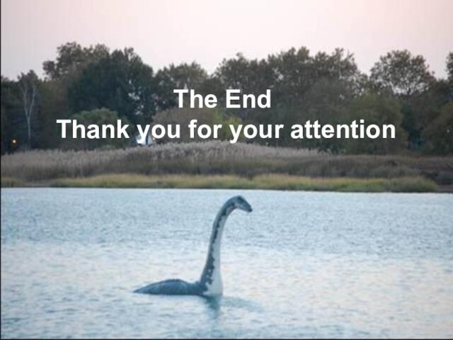 The End  Thank you for your attention